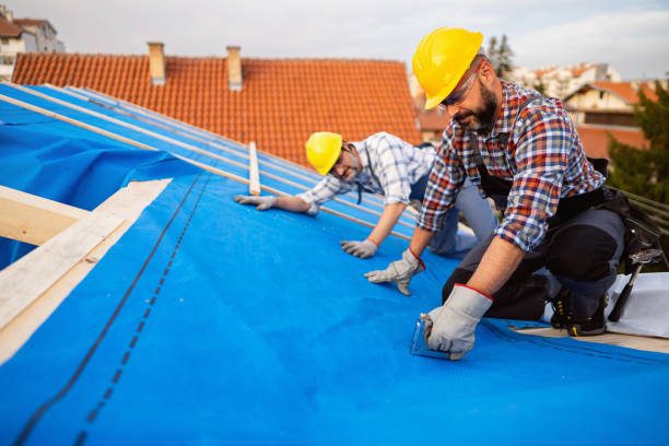 Professional Roofing in Santa Cruz, CA